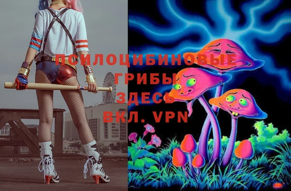 дурь Лихославль