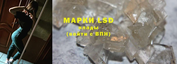 PSILOCYBIN Липки