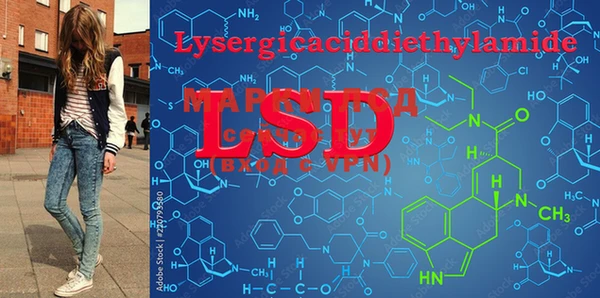 PSILOCYBIN Липки