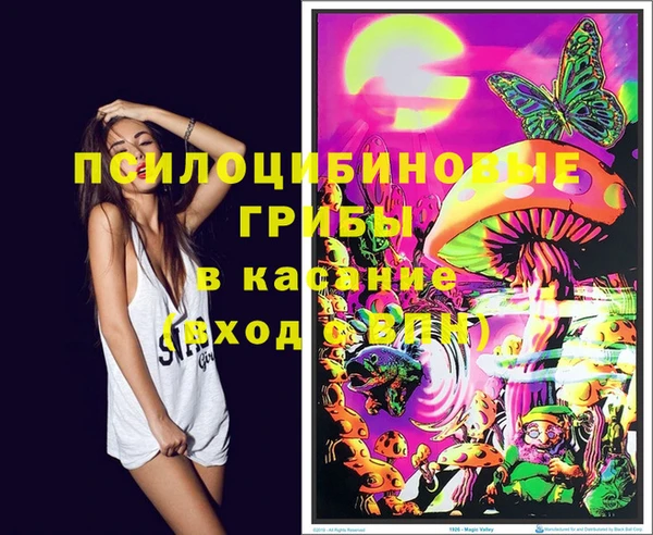 дурь Лихославль