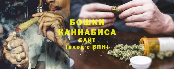 PSILOCYBIN Липки